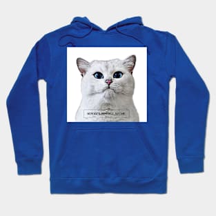 FUNNY CATS Hoodie